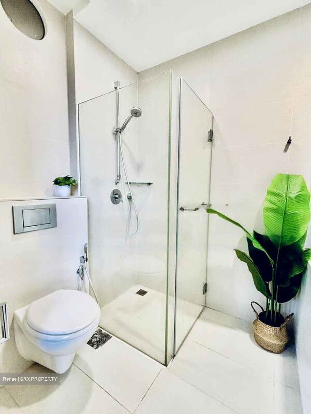 Domus (D12), Apartment #462997731